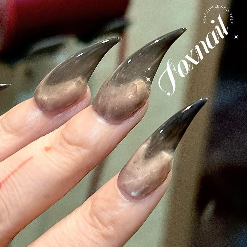 Handmade Custom Nails Dragon Cat Claw Press on Nails Long Medium Claw Nails